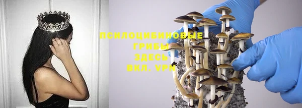 марки lsd Пересвет