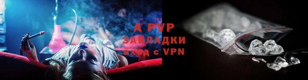 твердый Покачи