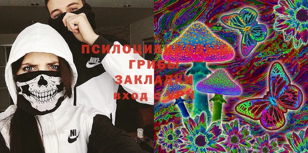 твердый Покачи