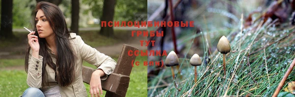 твердый Покачи