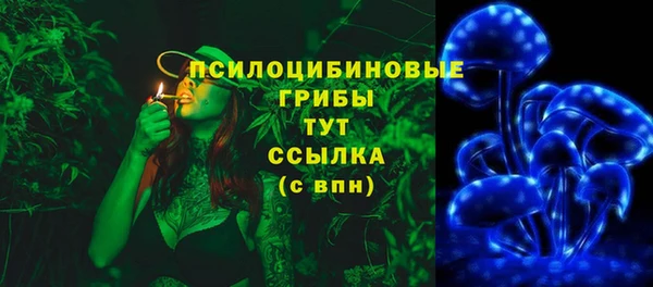 твердый Покачи
