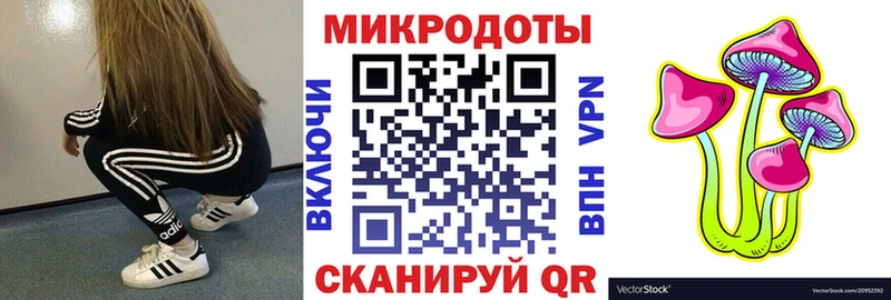 купить наркоту  Луза  Галлюциногенные грибы Psilocybine cubensis 