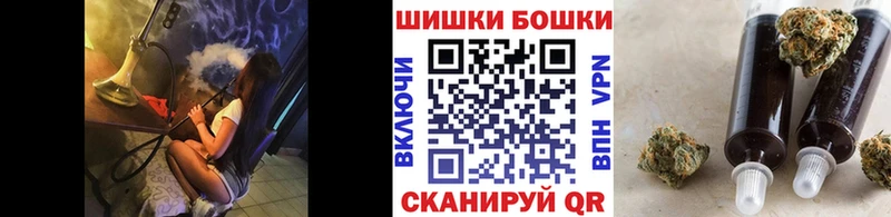 Шишки марихуана сатива  Луза 